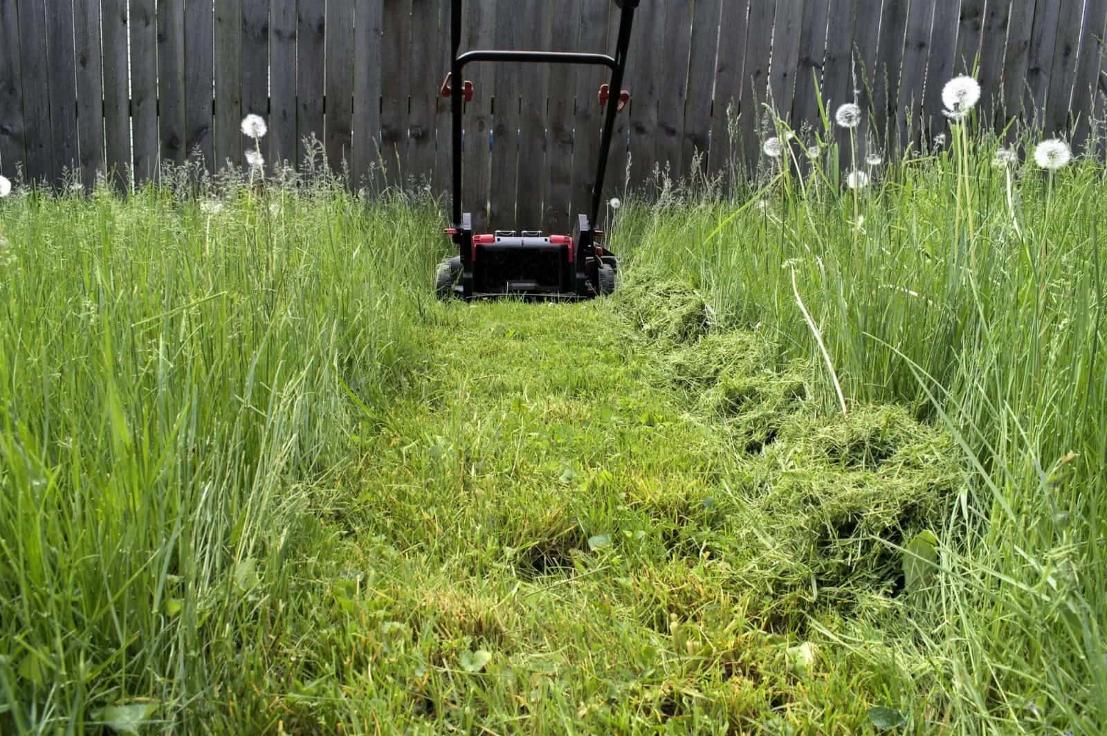 Professional lawn care in Hampton Roads, VA