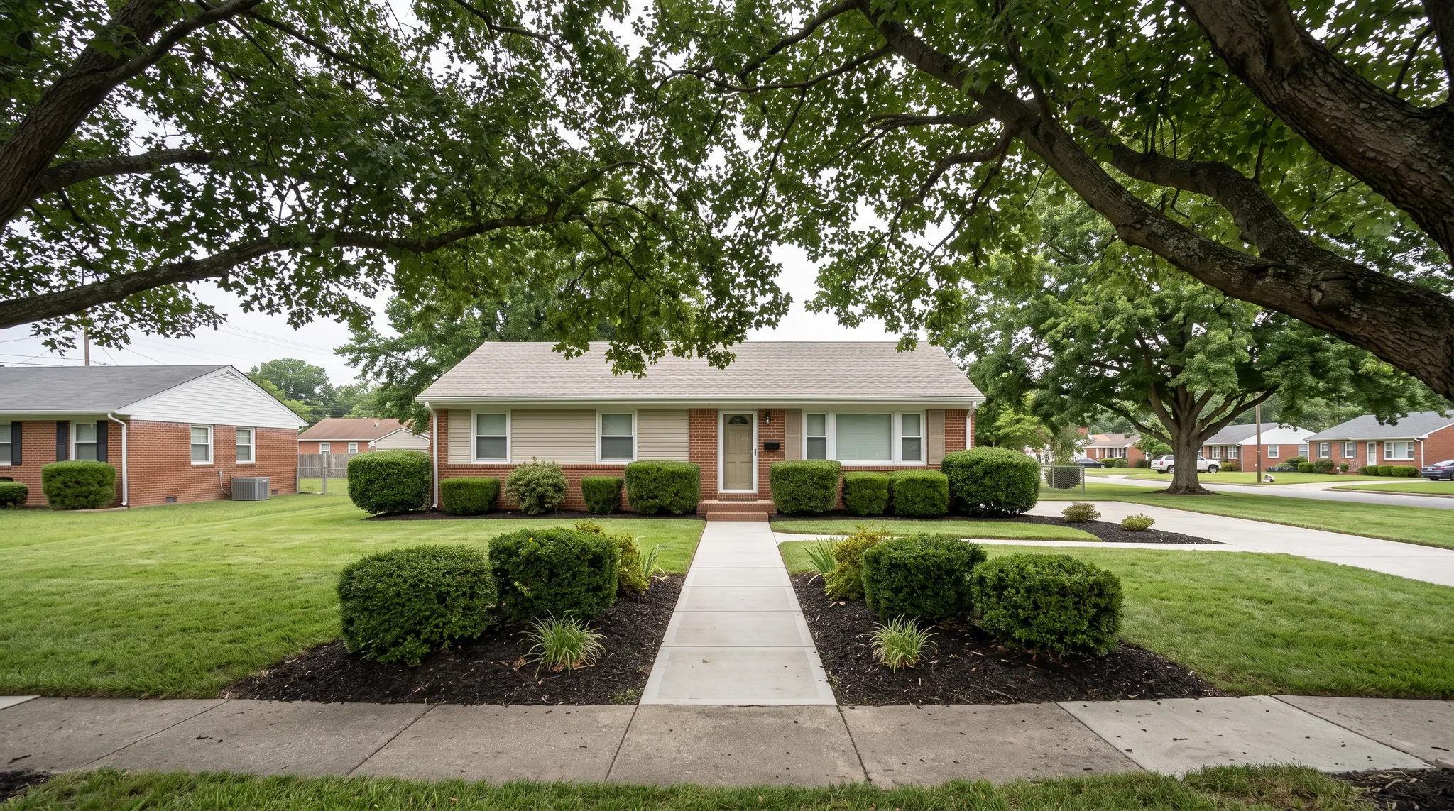 Illustration of a maintained lawn and front walk beneath mature shade trees