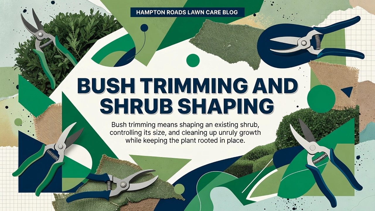 Bush Trimming and Shrub Shaping Bush Trimming and Shrub Shaping