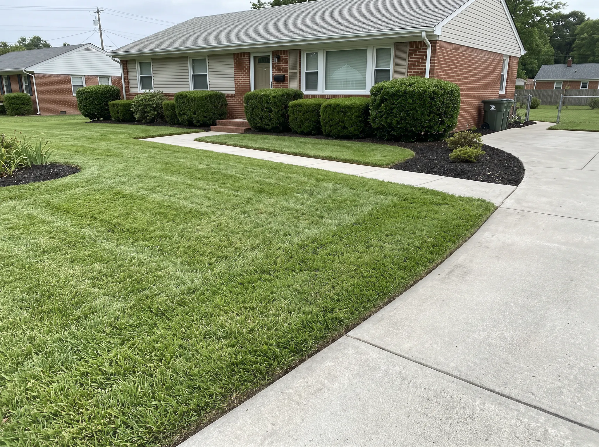 Freshly mowed and edged residential lawn